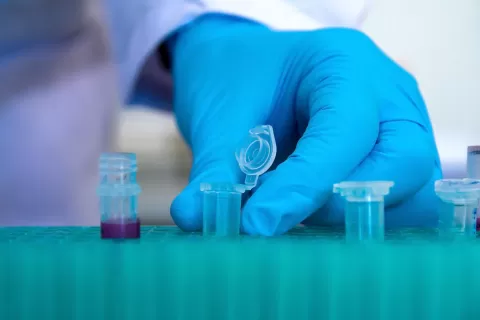 Specially Formulated Adhesives, Sealants and Coatings for Chemical Resistance