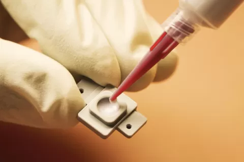 Rubber Bonding Systems