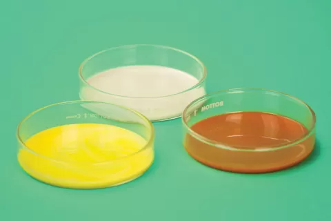Curing Processes of Master Bond Epoxies