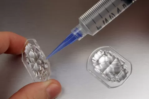 Industrial Sealants for Advanced Applications
