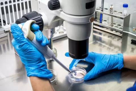 Master Bond compounds are custom formulated to meet specific application requirements for the R&D industry. Adhesive Compounds for Research and Development