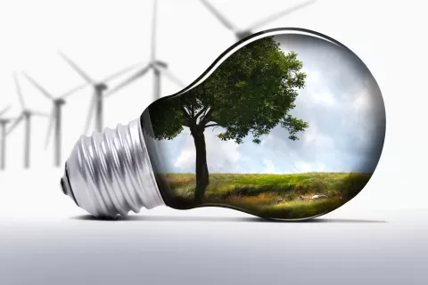 Environmentally Friendly Epoxy Compounds