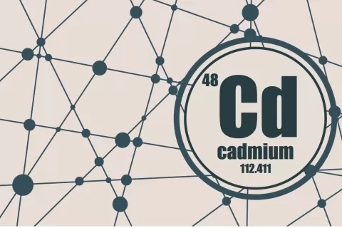 Epoxy Compounds for the Adhesion of Cadmium
