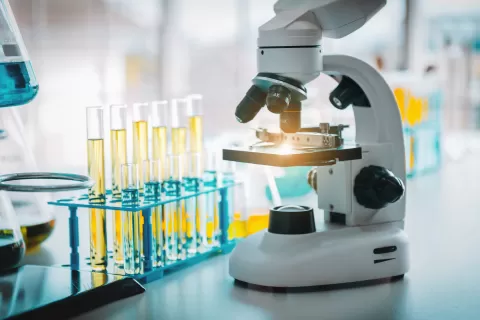 Master Bond’s base resistant adhesives protect chemical processing equipment in critical applications. Base Resistant Epoxy Systems